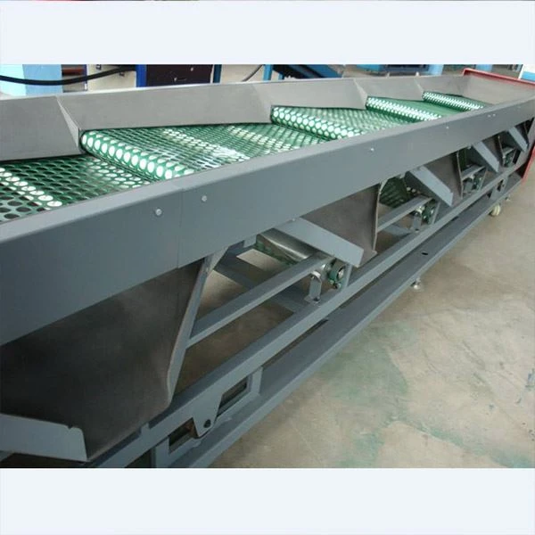 Blueberry Sorting Machine