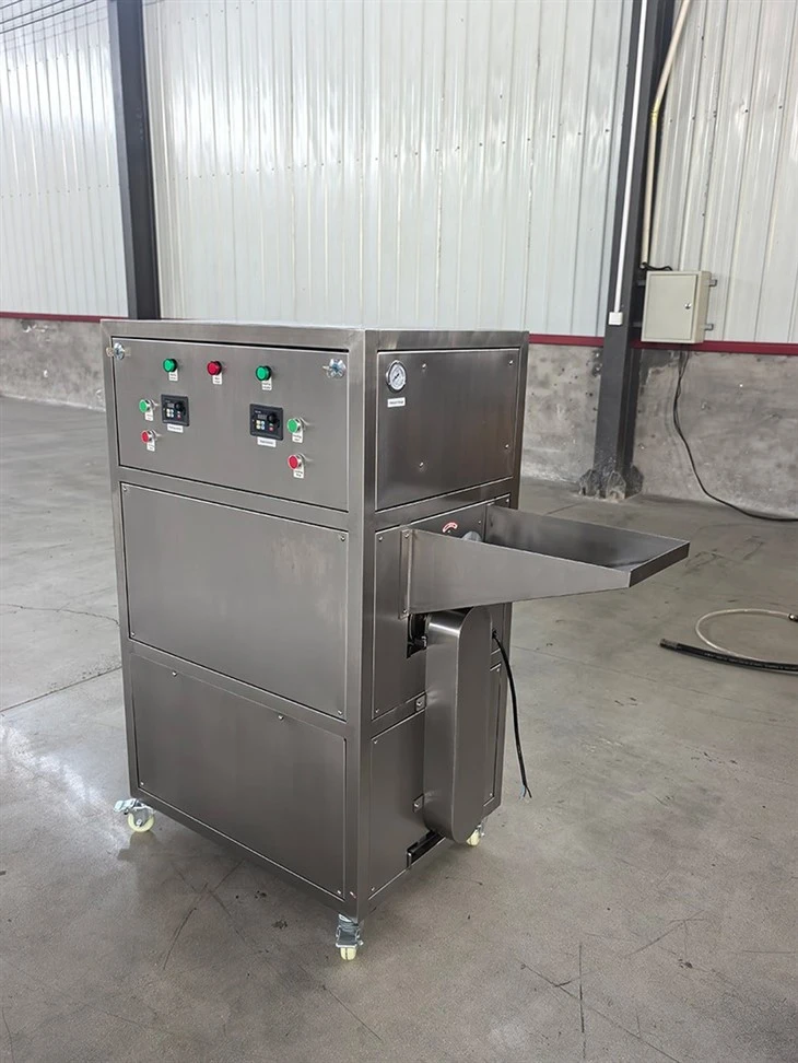 Onion Peeling Machine Price (1)