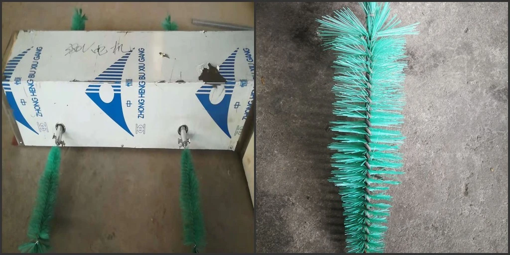 brush washing brush washing