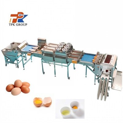 Automaattinen munan leivontalinja