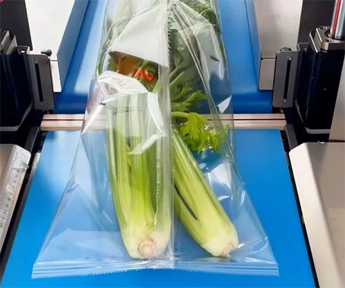 TPP-350B Horizontal Pillow Packing Machine